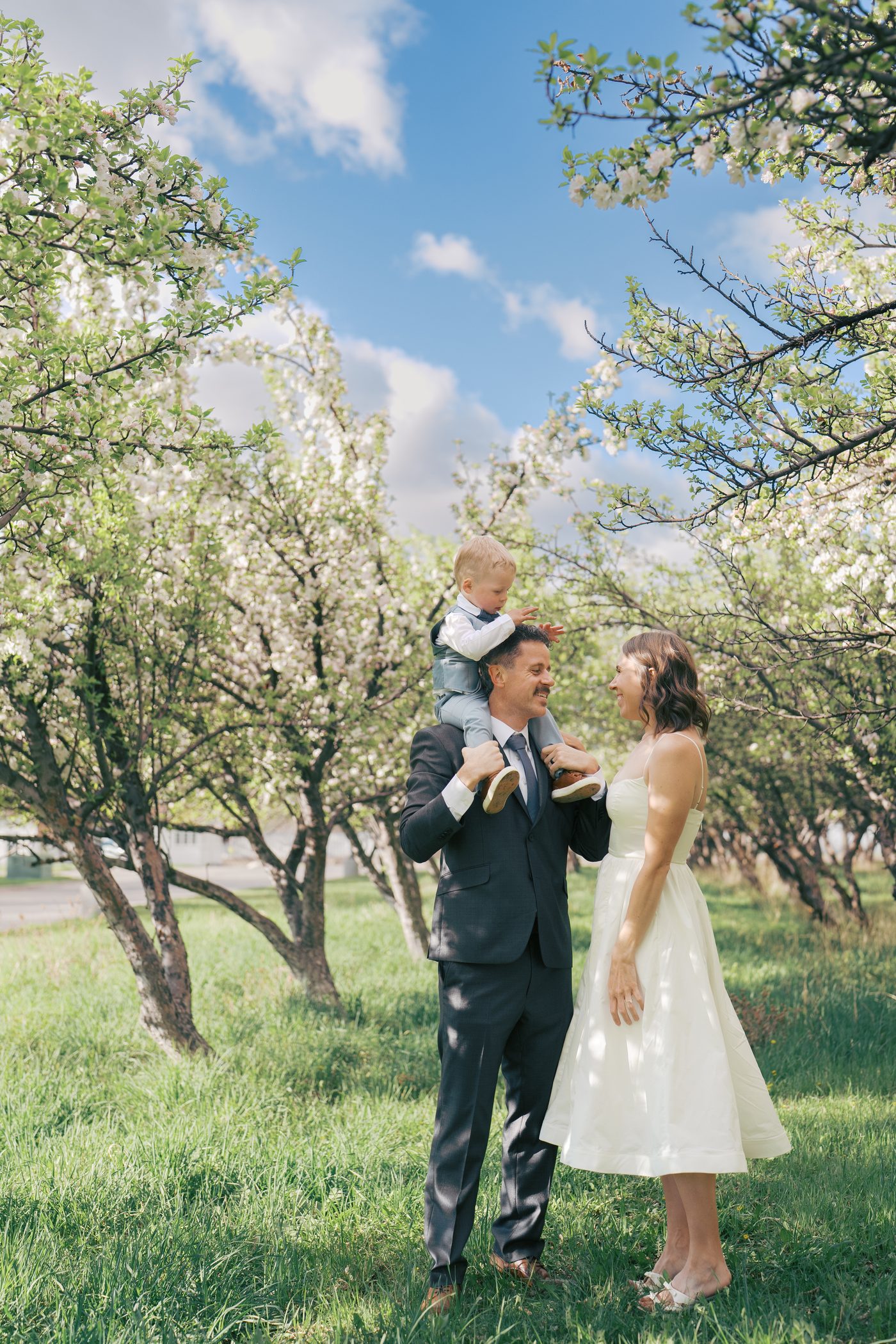 Parents smiling with toddler on dad's shoulders in a blooming Utah orchard